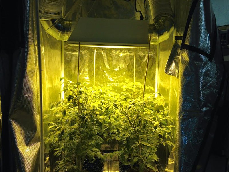 Grow tent with LED light